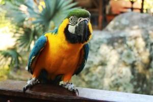 ホテルSitio Das Bromelias リオ・ダス・オストラス エクステリア 写真